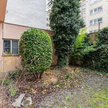 Calm Center Modern *